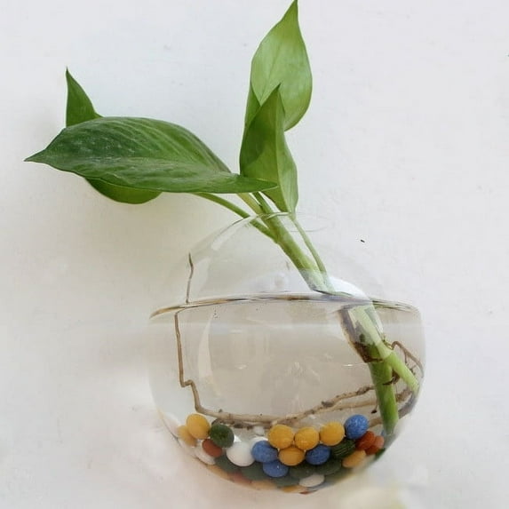 Kedshhgu Clearance Creatives Wall Hanging Vase Semi-round Transparent Hydroponic Glass Crafts Home Decoration