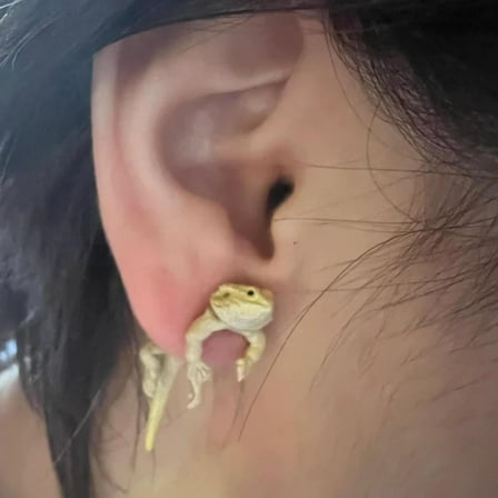 Kedshhgu Clearance Hip Hop Lizard Earring Party Funny Earrings Personality Sweet Cool Style Earrings Style Earrings