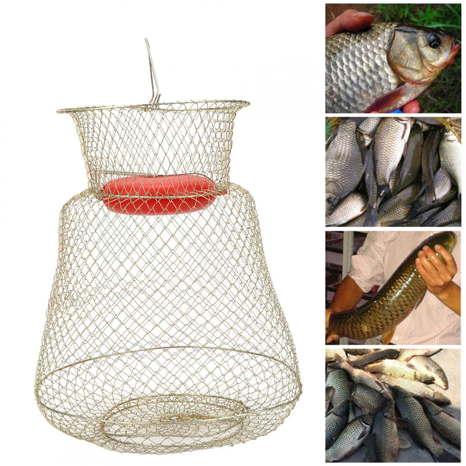 Keenso Stainless Steel Foldable Round Portable Fish Shrimp Basket Fishing  Net Cage with Floating Bowl,Portable Fishing Cage