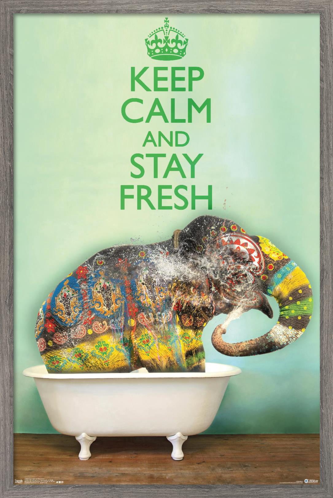 Keep Calm And Stay Fresh Wall Poster, 14.725" x 22.375", Framed
