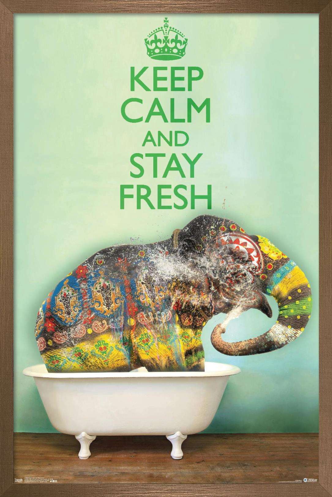 Keep Calm And Stay Fresh Wall Poster, 14.725" x 22.375", Framed