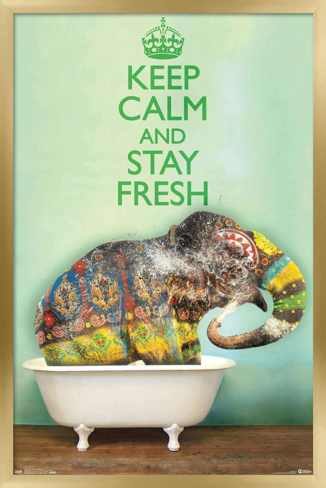 Keep Calm And Stay Fresh Wall Poster, 22.375" x 34", Framed