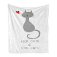 thumbnail image 1 of Keep Calm Soft Flannel Fleece Throw Blanket, Grey Cat Sitting with Red Heart and Hand Drawn Words Keep Calm Love Cats, Cozy Plush for Indoor and Outdoor Use, 50" x 70", Grey Red Yellow, by Ambesonne, 1 of 5
