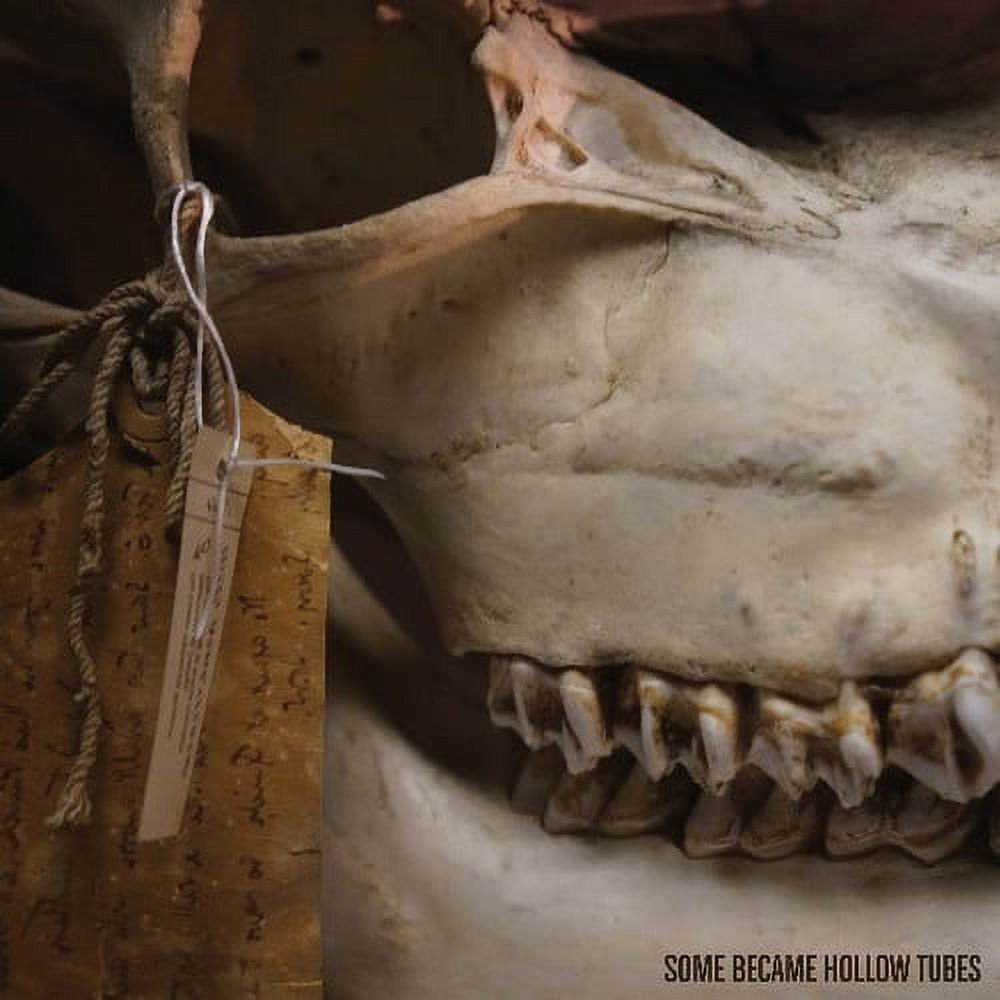 Some Became Hollow Tubes - Keep It in the Ground - Music & Performance - Vinyl
