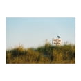 thumbnail image 1 of Keep Off The Dunes - New York Photography Beach Coastal Nature Landscape Minimalist Ocean Rustic Unframed Wall Art Print 4 x 6 inches, 1 of 7