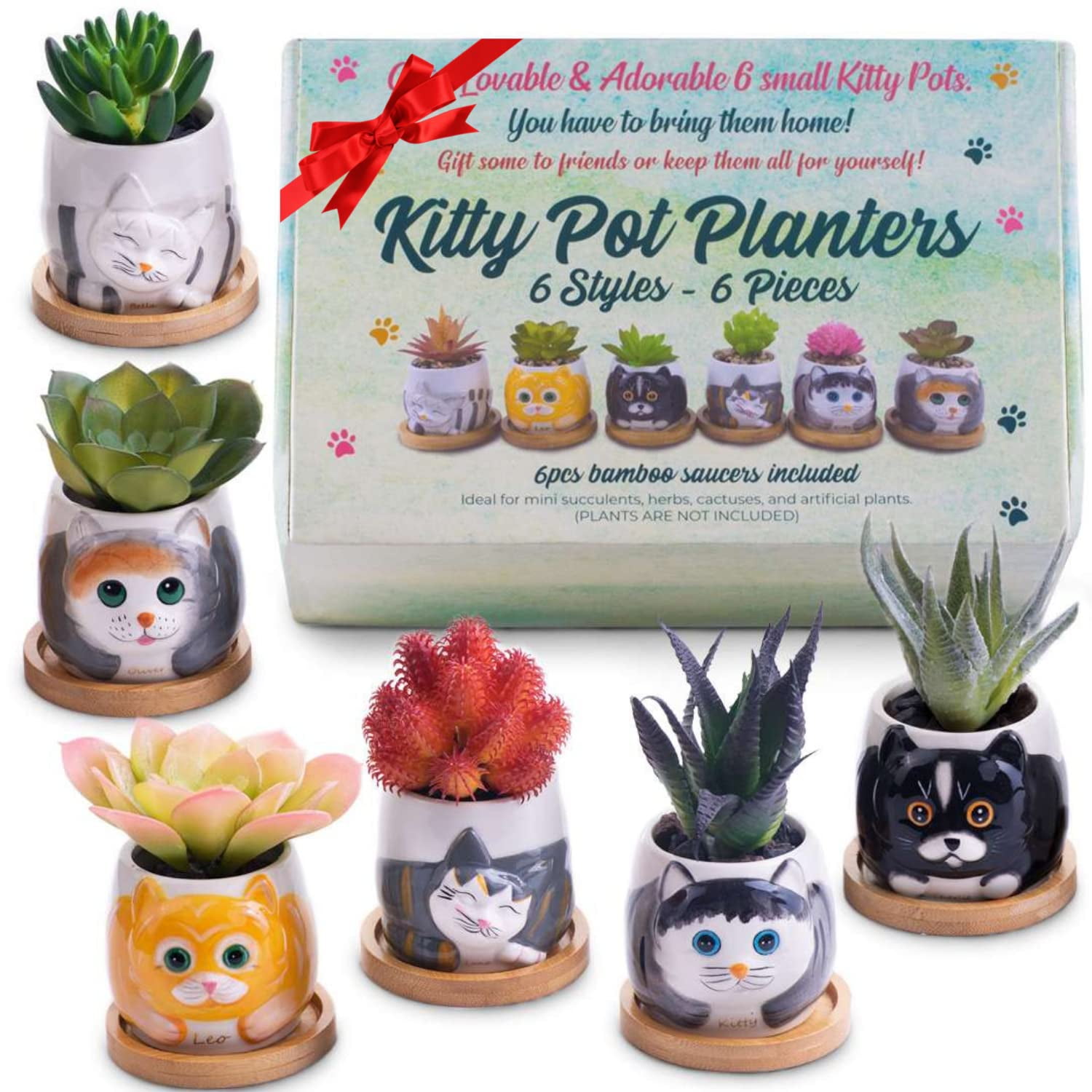 Hand-Painted Ceramic Cat Face Succulent Planters with Bamboo Saucers