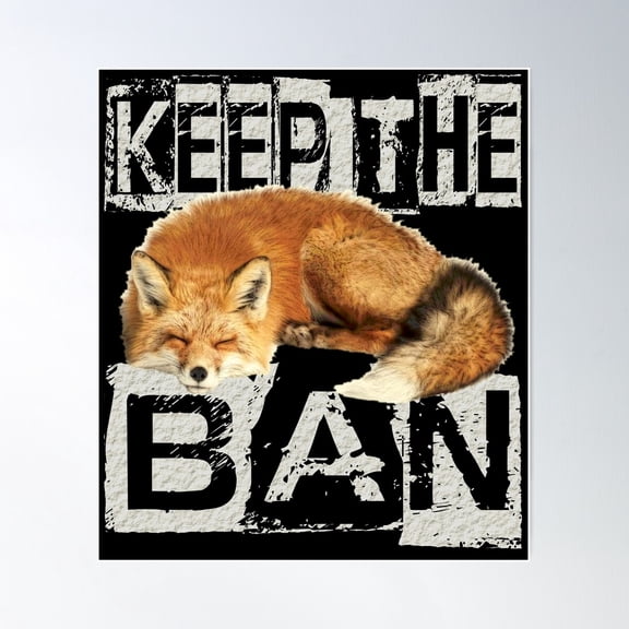 Keep The Ban Poster Wall Art, Modern Wall Decor For Living Room Bedroom, 12x18 UNFRAMED