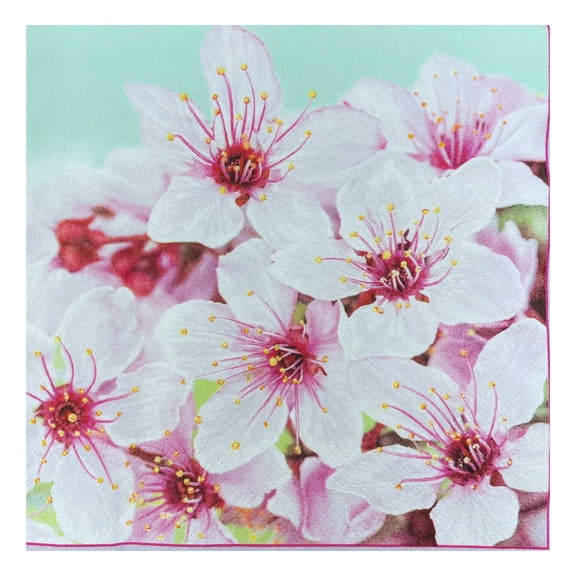 Keep Unique Decoupage Floral Disposable Napkins, Decoupage Napkins - 20/Pack, Assorted Colors
