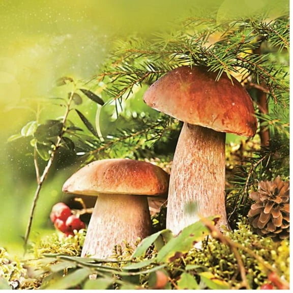 Keep Unique Disposable Fall Paper Napkins for Decoupage, Assorted Color, 20/Pack