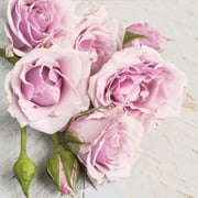Keep Unique Flowers Roses Paper Napkins, Floral Disposable Napkins, Assorted Color, 20/Pack