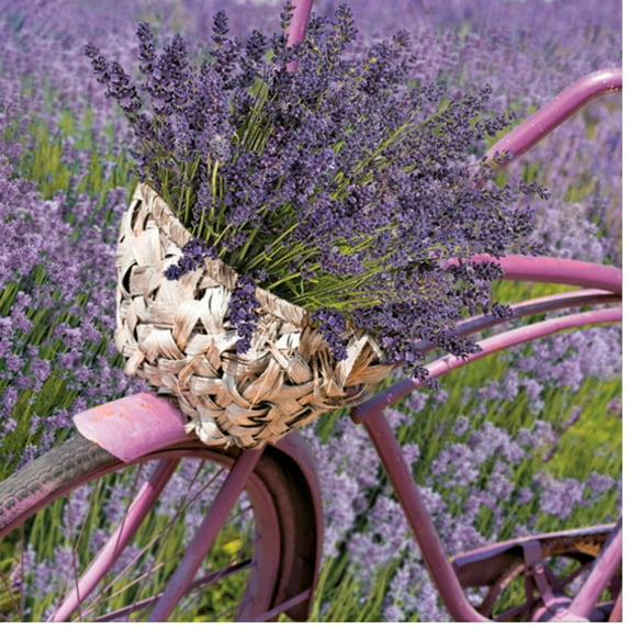 Keep Unique Lavender Floral Decorative Decoupage Party Paper Napkins, Assorted Color, 20/Pack