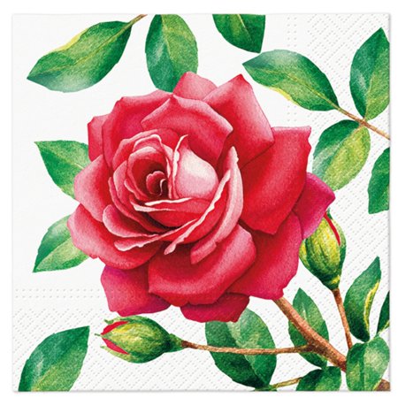 Keep Unique Paper Luncheon Decoupage Napkins, Flower Napkins, Assorted Color, 20/Pack