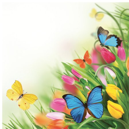 Keep Unique Paper Luncheon Decoupage Napkins Vintage Butterfly Flower, Assorted Color, 20/Pack