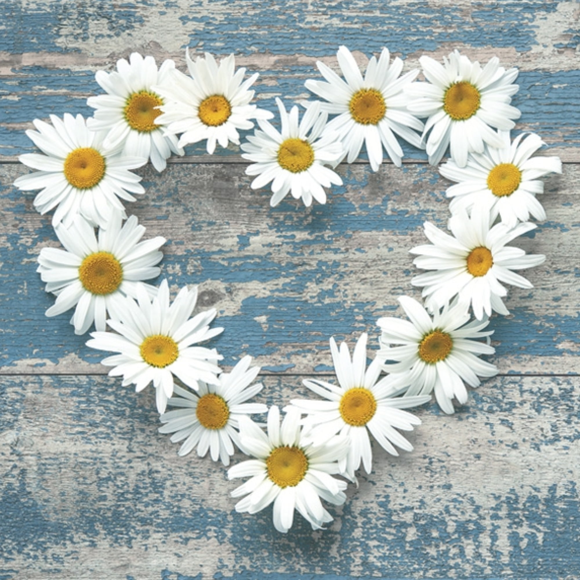 Keep Unique Paper Napkins Daisy Flowers, Decorative Decoupage Floral