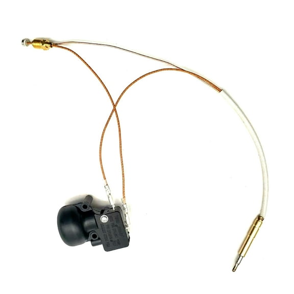 Keep Warm Secure Outdoor Water Heater Dump Switch & Thermoelement Sensor Repair