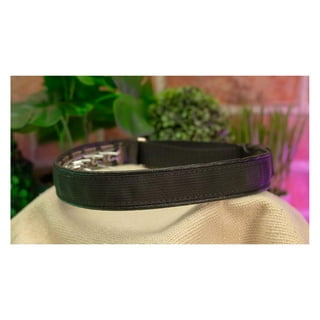 Hidden prong collar with snap best sale