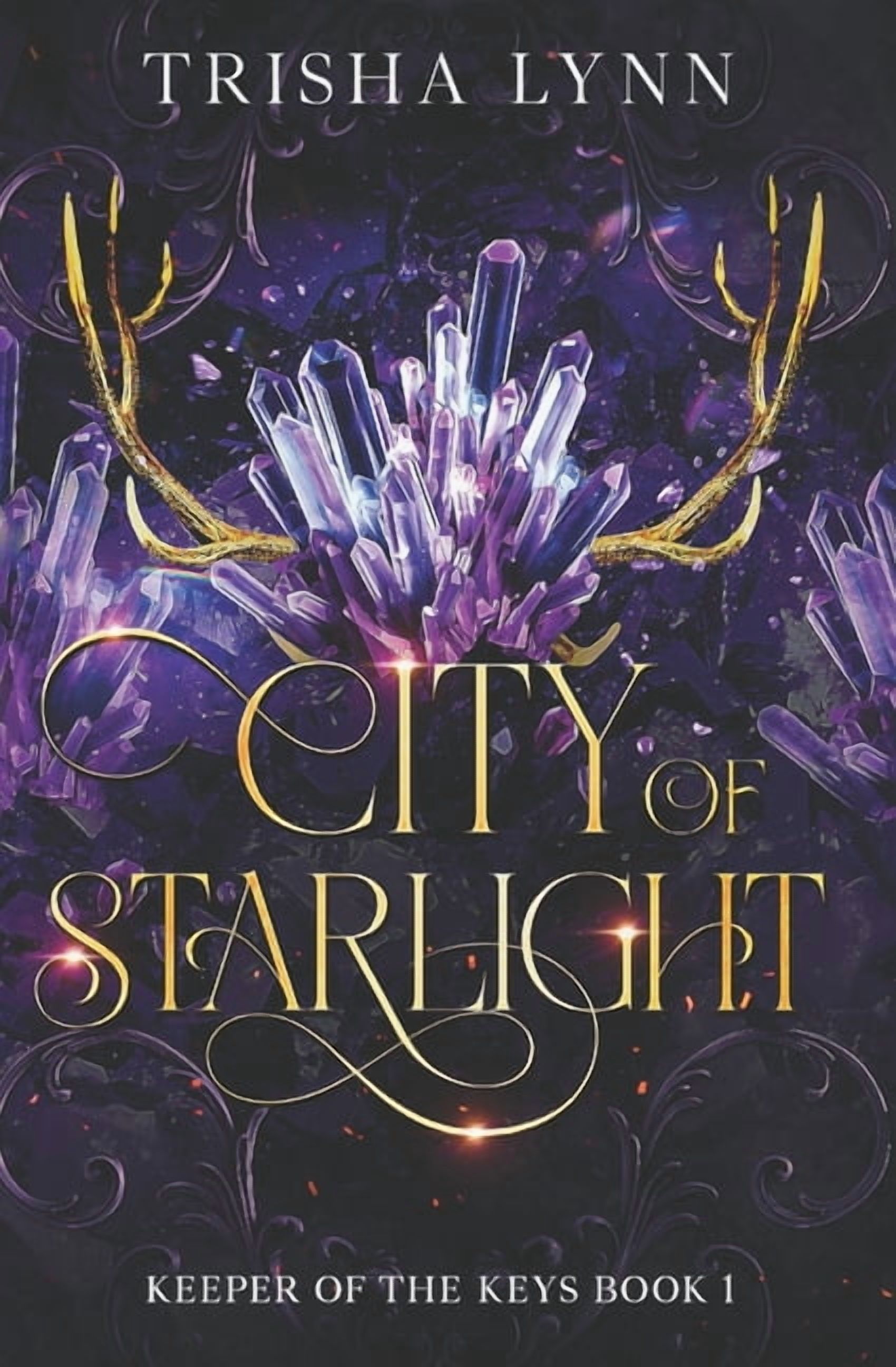 Keeper of the Keys Trilogy City of Starlight: Keeper of the Keys book 1 ...