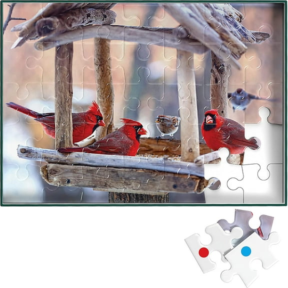 Keeping Busy Dementia Puzzle - 35 pcs Color Coded for Multiple Levels, Around the Birdfeeder