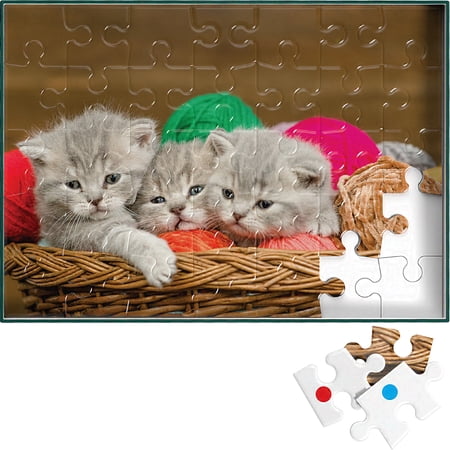 Keeping Busy Kittens in a Basket Puzzle for Older Adults with Dementia - 35 pcs Sequenced Jigsaw for Memory Loss - Color Coded - Engaging Alzheimer’s and Dementia Activities for Seniors