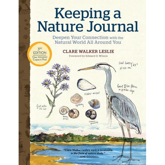 Keeping a Nature Journal, 3rd Edition : Deepen Your Connection with the Natural World All Around You (Paperback)