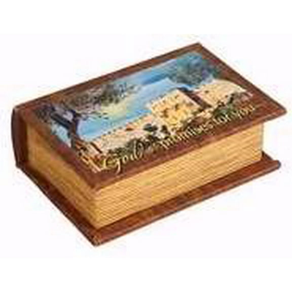 Keepsake Box-Daily Promise Box: God S Promises For You (#8230)