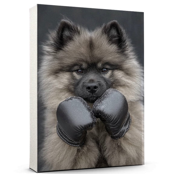 Keeshond Dog Canvas Boxing Canvas Funny Keeshond Dog Team Player Wall Art, Ideal Gift Boxing , Dog Owner, Kids Room Decor