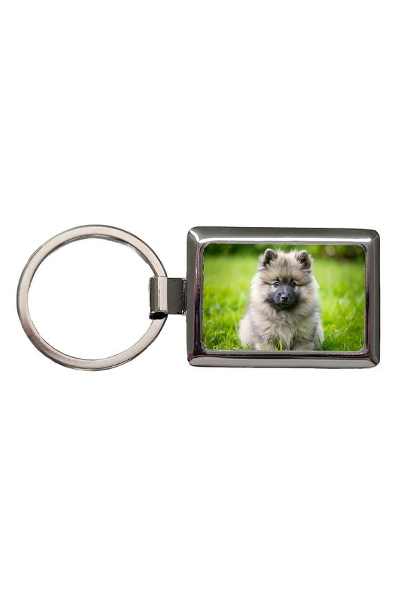 Keeshond Dog Puppy Photo Metal Rectangle Keychain