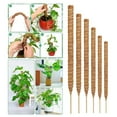 thumbnail image 1 of Kehuo Plant Climbing Pole, Curved Pole, Free Form Plant Climbing Pole, Moss Pole, Horticultural Palm Pole, Must Have Household Items, 1 of 9