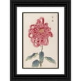 thumbnail image 1 of Keika Hasegawa 11x14 Black Ornate Wood Framed Double Matted Museum Art Print Titled: Keika Hyakugiku, Pl.25 (1893), 1 of 5