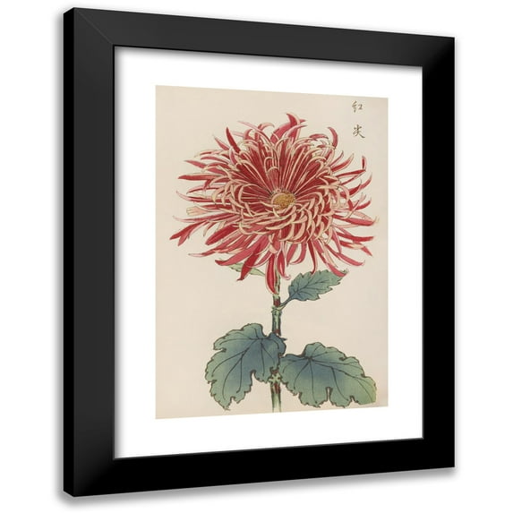 Keika Hasegawa 13x18 Black Modern Framed Museum Art Print Titled - Keika Hyakugiku, Pl.27 (1893)