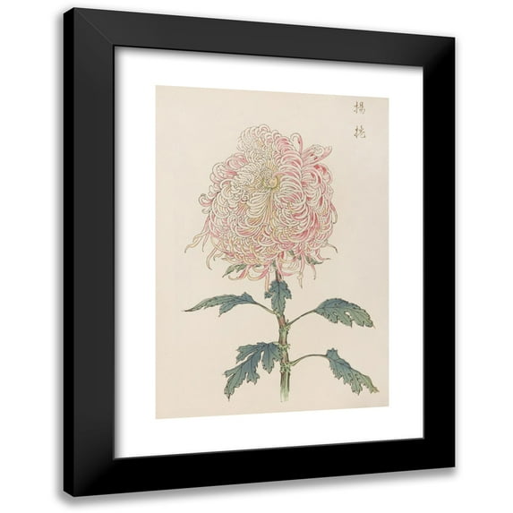 Keika Hasegawa 14x18 Black Modern Framed Museum Art Print Titled - Keika Hyakugiku, Pl.22 (1893)