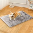 thumbnail image 1 of KeirienCC Dog Beds for Dogs, 11.8x16.7inch Plush Dog Crate Bed Fluffy Cozy Kennel Pad for Sleeping & Ease Anxiety, Washable Dog Mats with Anti-Slip Bottom for Large Medium Dogs (Light Gray), 1 of 7