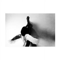 Keisuke Ikeda 'Not Fly' Canvas Art