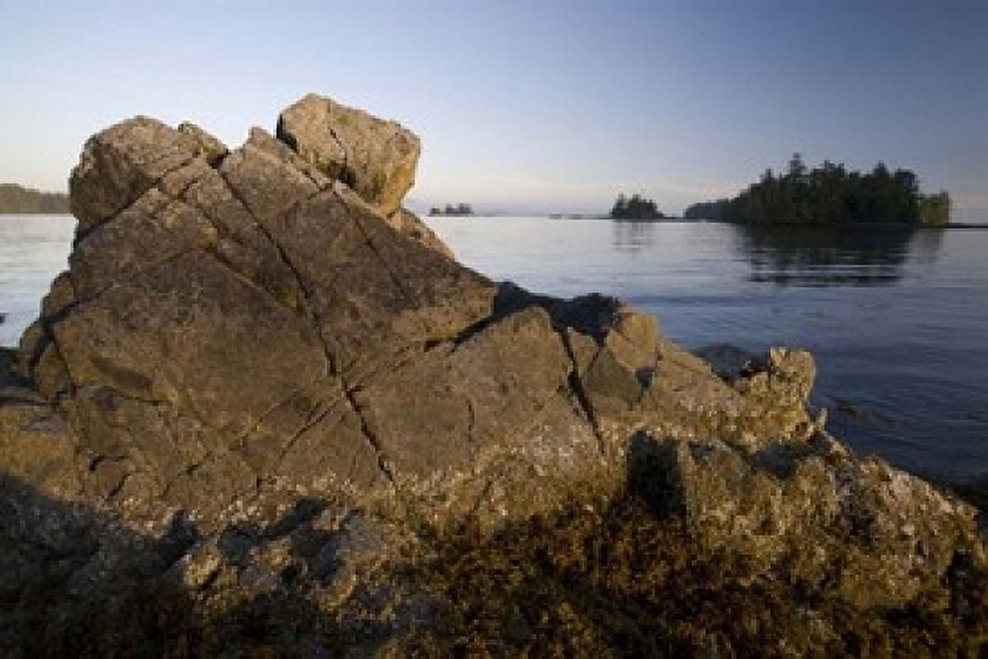 Keith Island Pacific Rim British Columbia Canvas Art - Roddy Scheer DanitaDelimont (36 x 24)