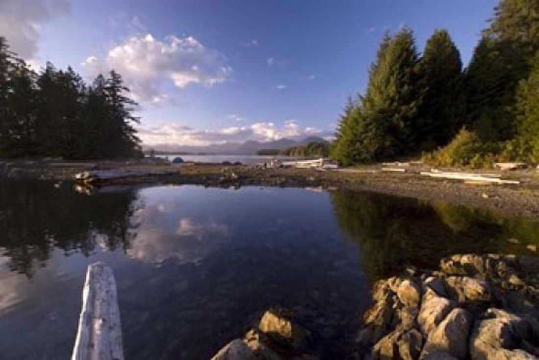 Keith Island Pacific Rim NP British Columbia Canvas Art - Roddy Scheer DanitaDelimont (26 x 18)