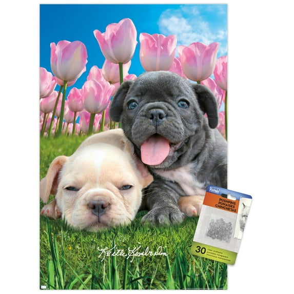 Keith Kimberlin - Bulldog Puppies Wall Poster with Pushpins, 14.725" x 22.375"