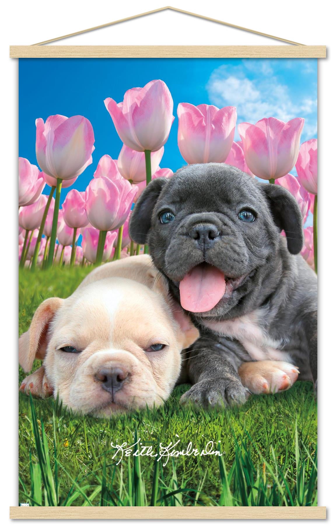 Keith Kimberlin - Bulldog Puppies Wall Poster with Wooden Magnetic Frame, 22.375" x 34"