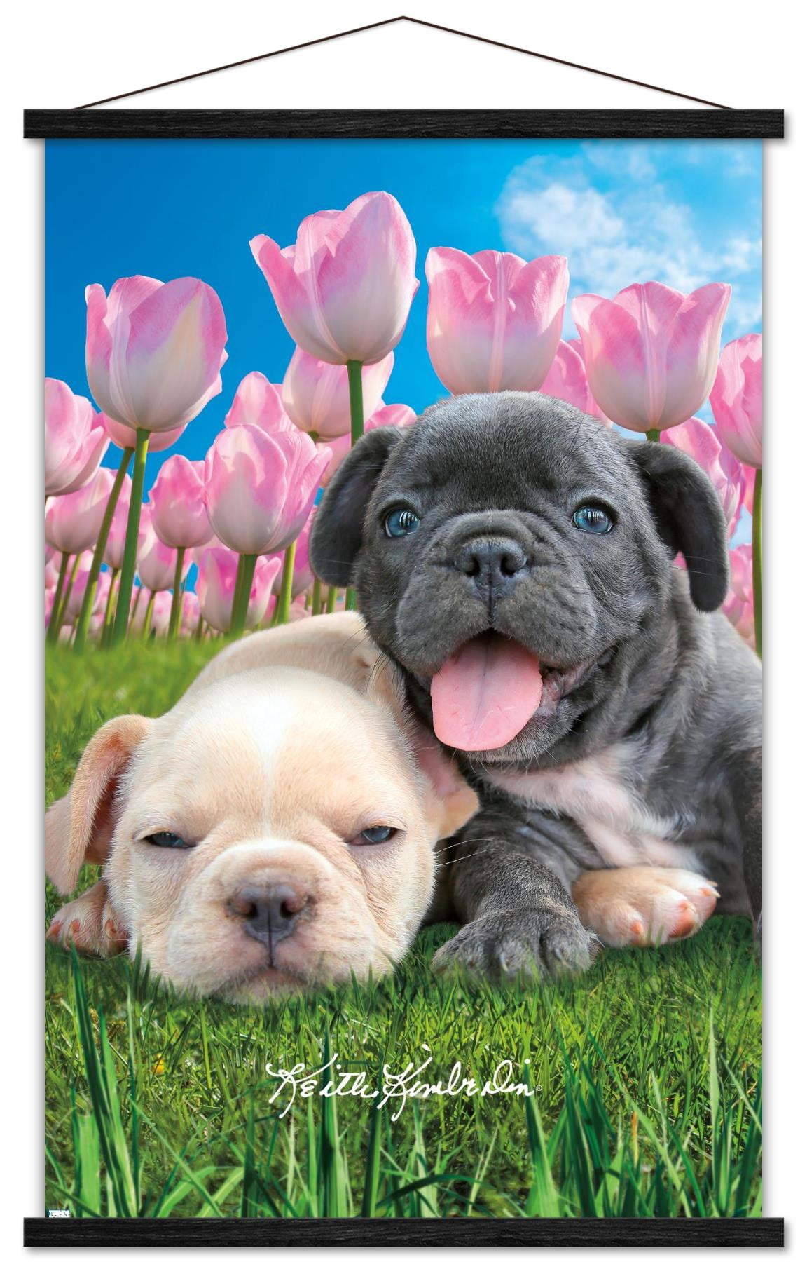 Keith Kimberlin - Bulldog Puppies Wall Poster with Wooden Magnetic Frame, 22.375" x 34"