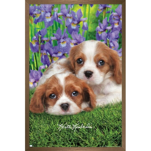 Keith Kimberlin - Cavalier King Charles Puppies Wall Poster, 22.375" x 34", Framed