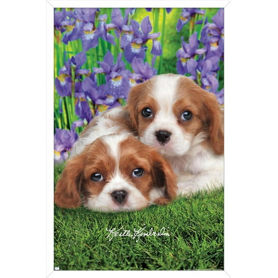 Keith Kimberlin - Cavalier King Charles Puppies Wall Poster, 22.375" x 34", Framed