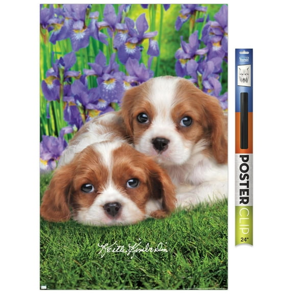 Keith Kimberlin - Cavalier King Charles Puppies Wall Poster, 22.375" x 34"