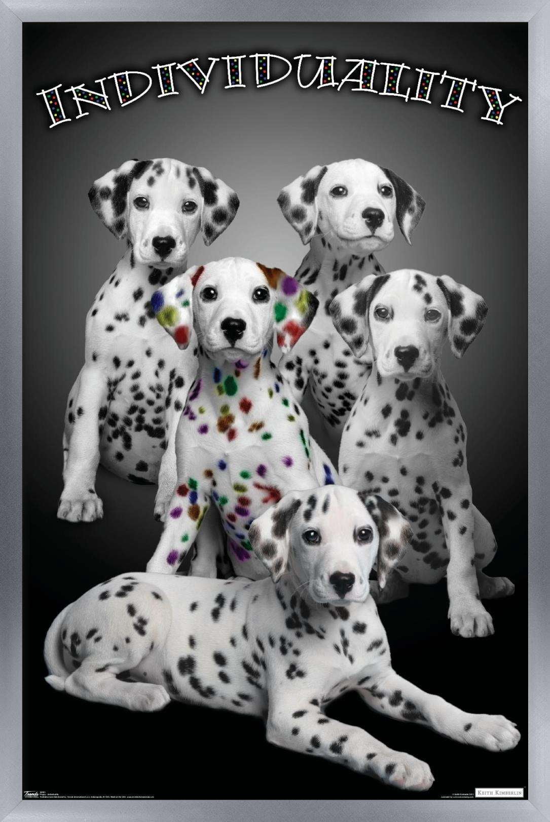 Keith Kimberlin - Dalmatian Puppies with Colored Spots - IndiViduality Wall Poster, 14.725" x 22.375", Framed