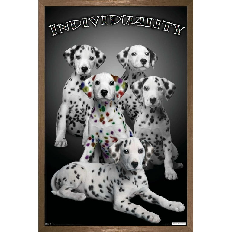 Keith Kimberlin Dalmatian Puppies with Colored Spots
