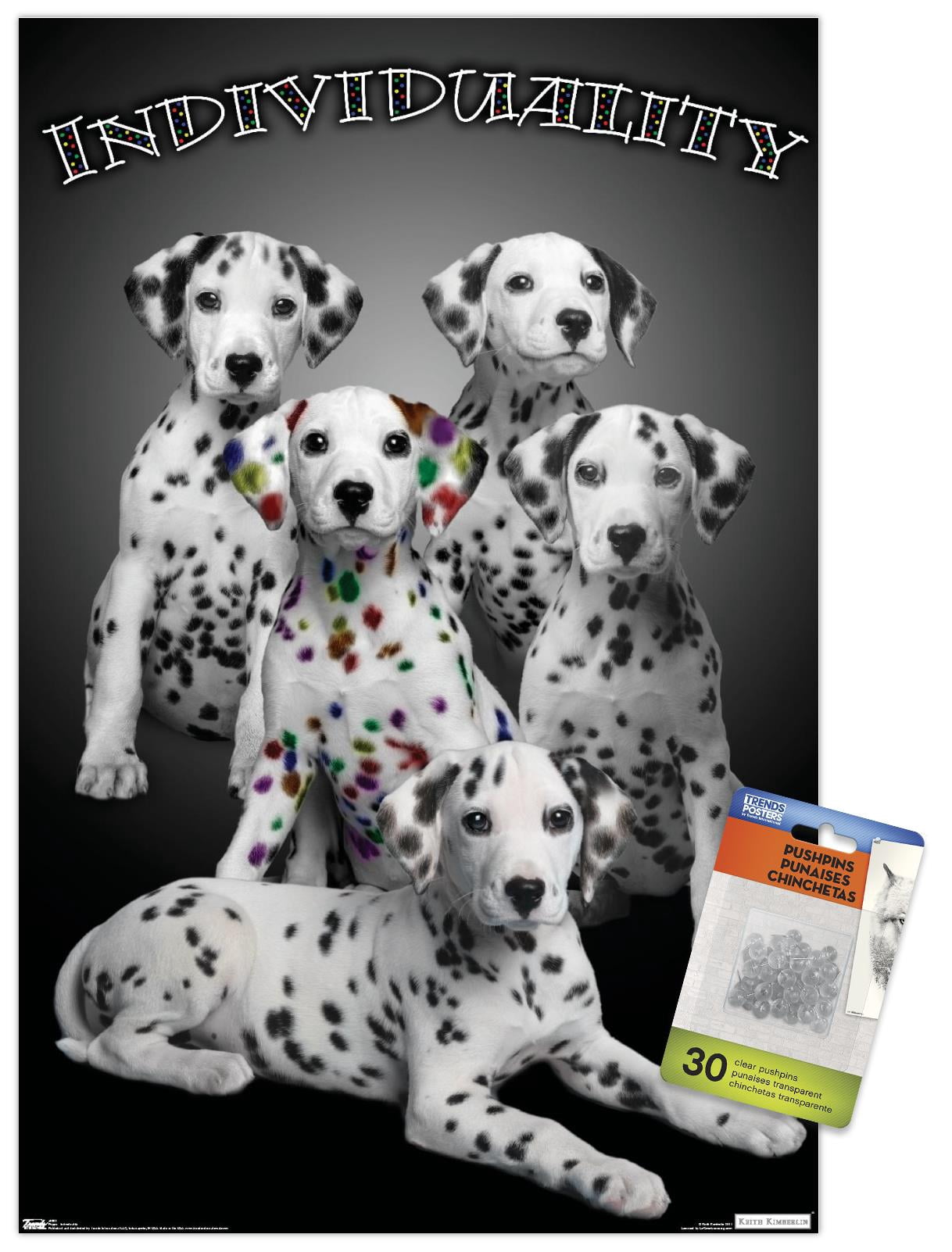 Keith Kimberlin - Dalmatian Puppies with Colored Spots - IndiViduality Wall Poster with Push Pins, 14.725" x 22.375"