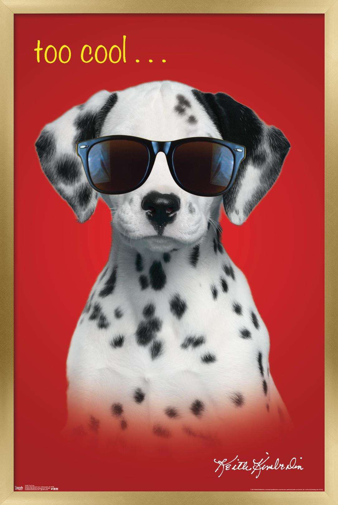 Keith Kimberlin - Dalmatian Puppy - Too Cool Wall Poster, 22.375" x 34", Framed