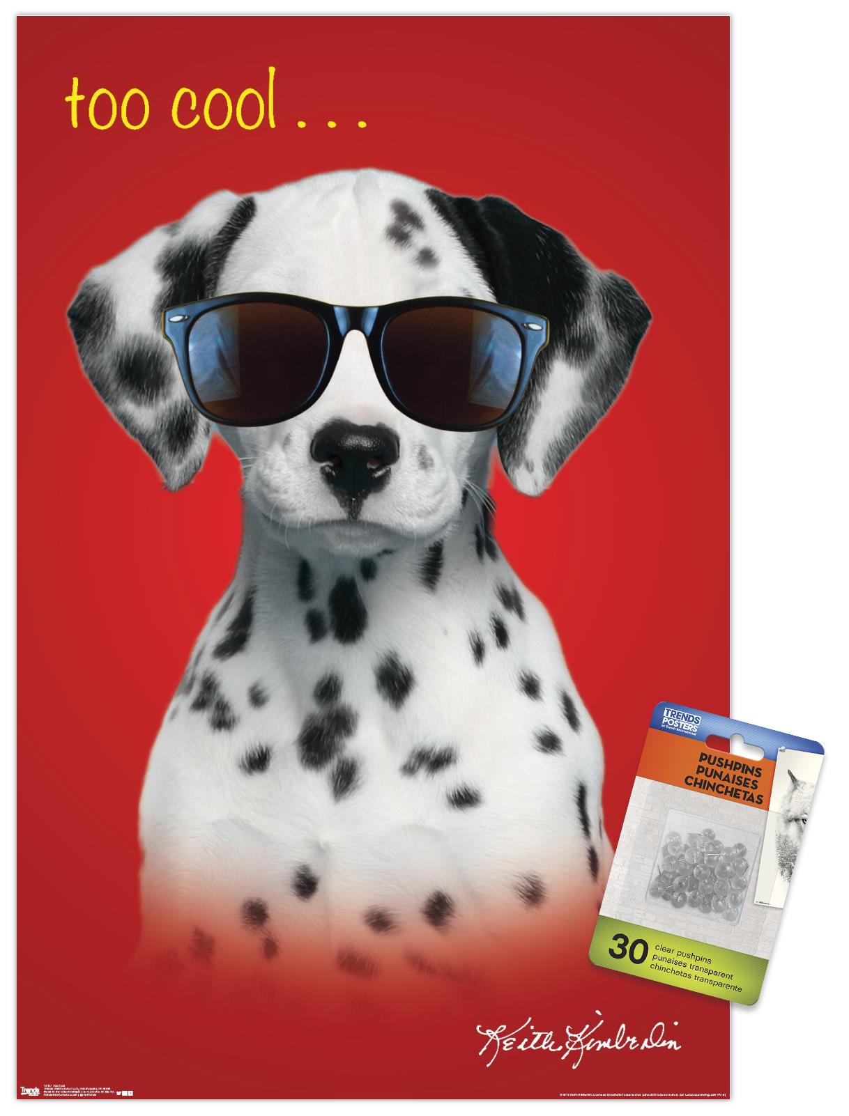 Keith Kimberlin - Dalmatian Puppy - Too Cool Wall Poster with Push Pins, 14.725" x 22.375"