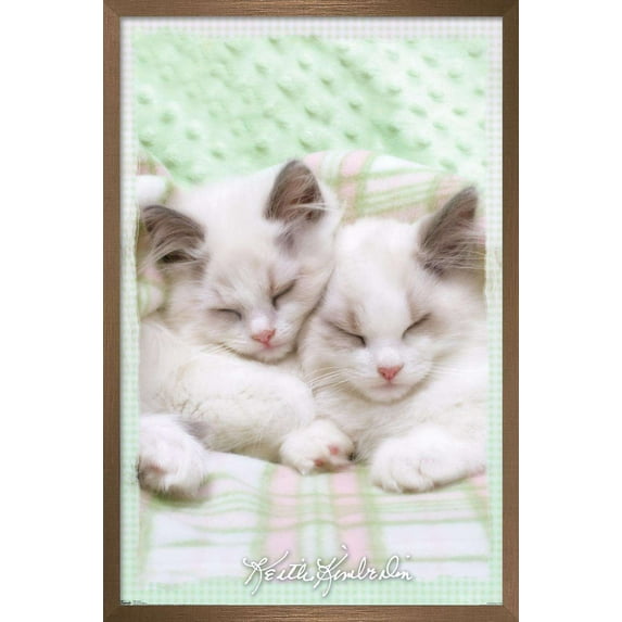 Keith Kimberlin - Kitten 09 Wall Poster, 22.375" x 34", Framed