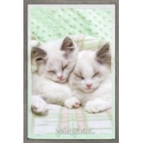 Keith Kimberlin - Kitten 09 Wall Poster, 22.375" x 34" Framed