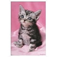 thumbnail image 1 of Keith Kimberlin - Kitten - Cute Wall Poster, 14.725" x 22.375", Framed, 1 of 3