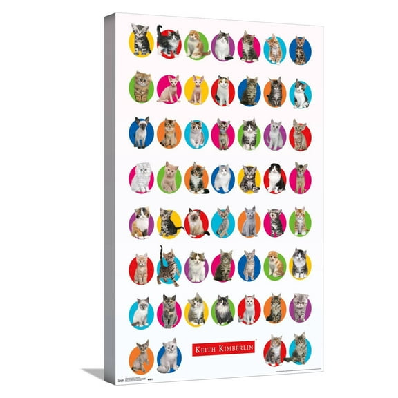 Keith Kimberlin - Kitten Grid Canvas Wall Poster, 14.725" x 22.375"